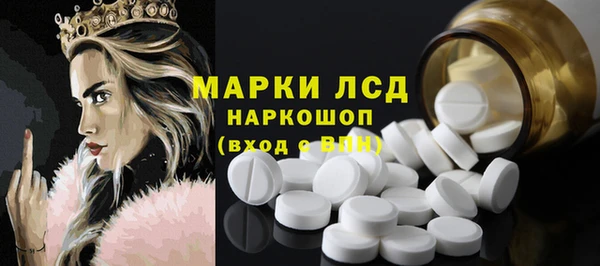шишки Новокубанск