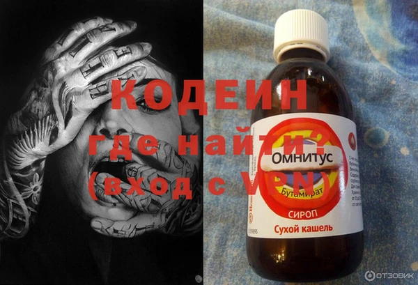 хмурый Няндома