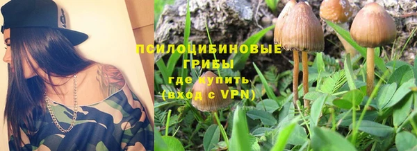 метадон Новодвинск
