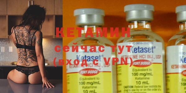 хмурый Няндома