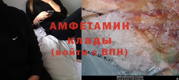 шишки Новокубанск