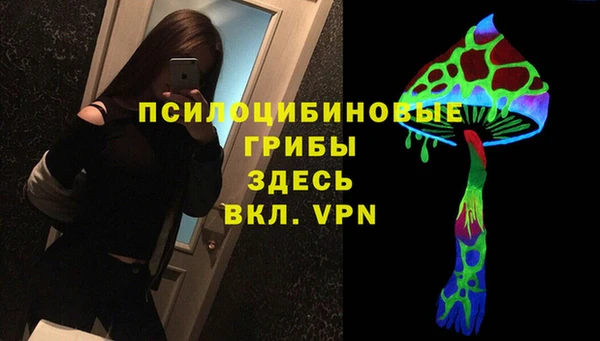 хмурый Няндома