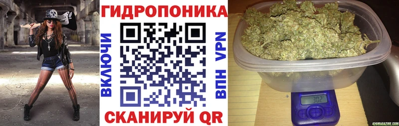 купить наркотик  Красавино  Канабис OG Kush 